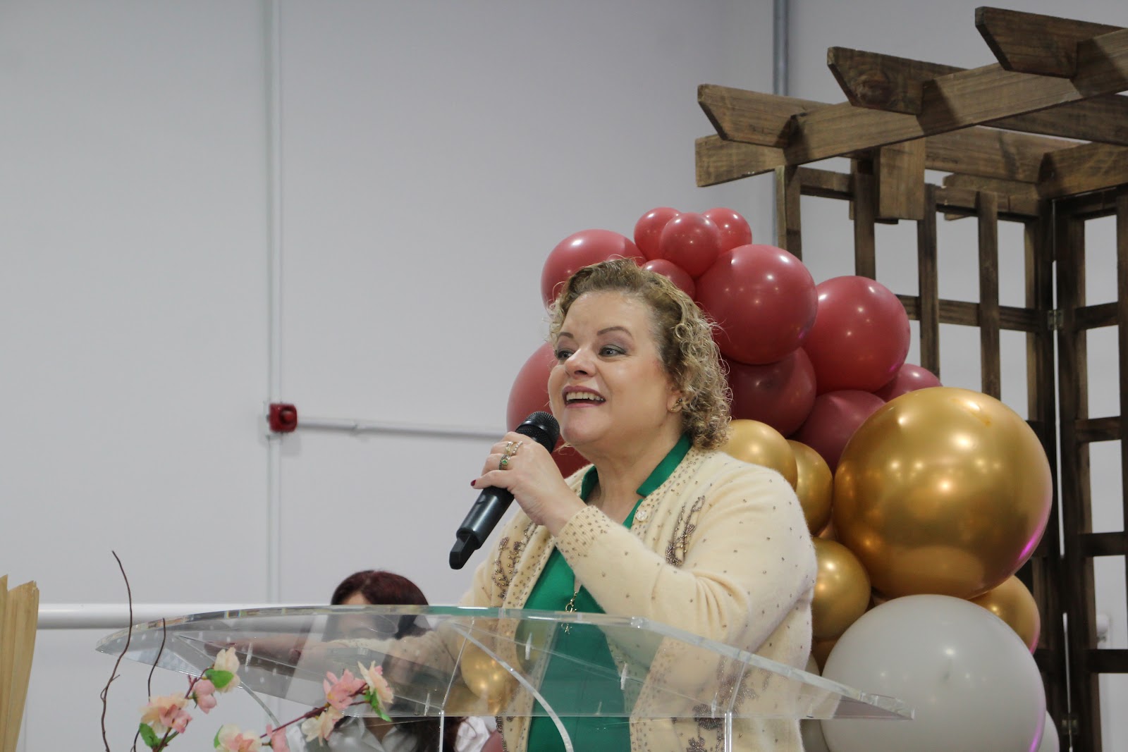 Fotografia 33 do álbum Pré-Congresso de Mulheres