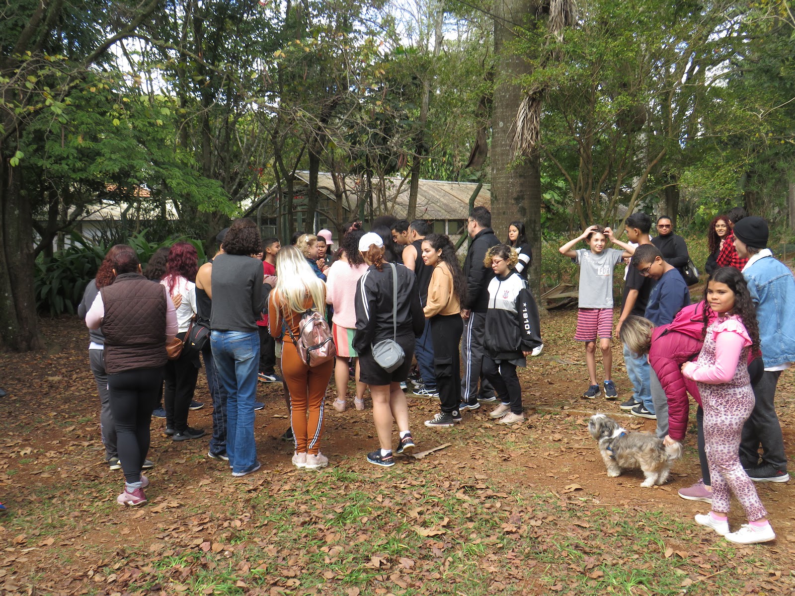 Fotografia 35 do álbum Ibirapuera