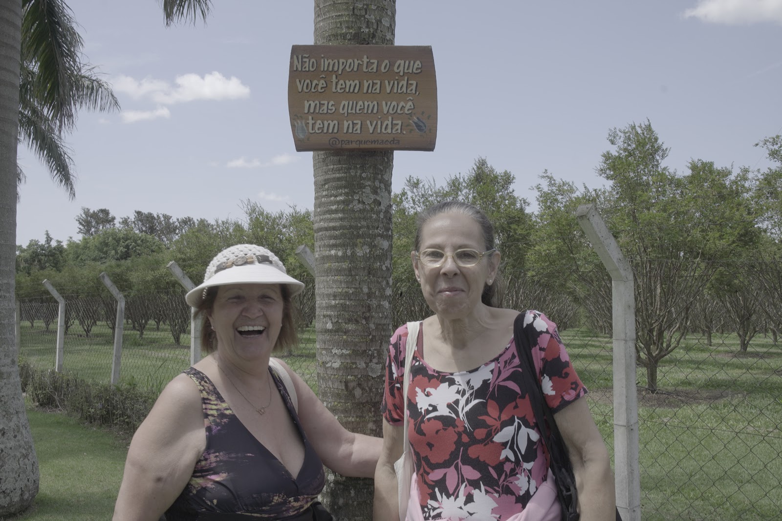 Fotografia 8 do álbum Parque Maeda