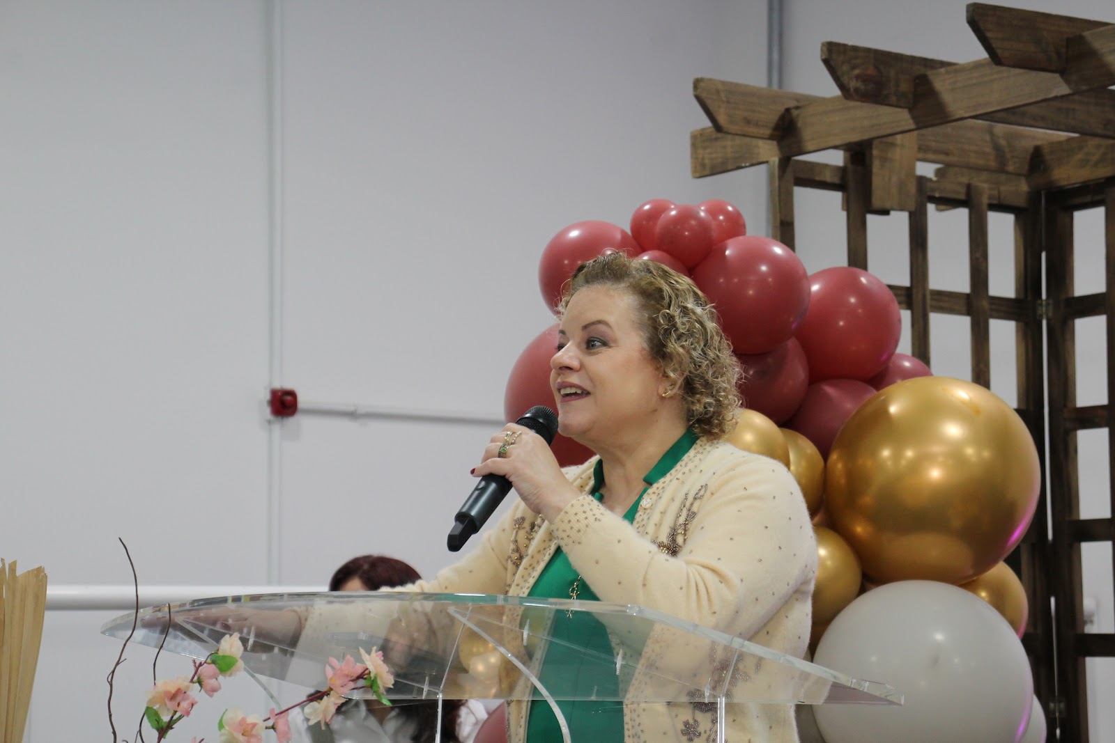 Fotografia 32 do álbum Pré-Congresso de Mulheres